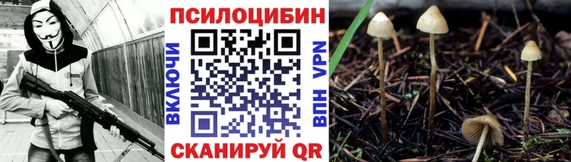 Псилоцибиновые грибы Cubensis  Игарка 